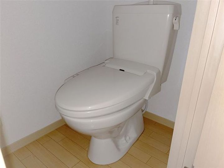 岡山県岡山市南区豊成1(アパート)の賃貸物件の内装