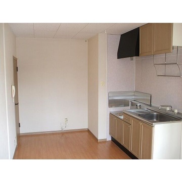 栃木県那須塩原市石林(アパート)の賃貸物件のキッチン