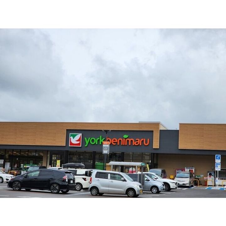 グレイスコート高嶺の周辺