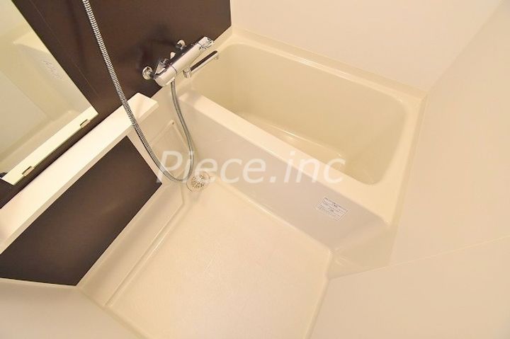 レジュールアッシュ ザパークフロントの風呂