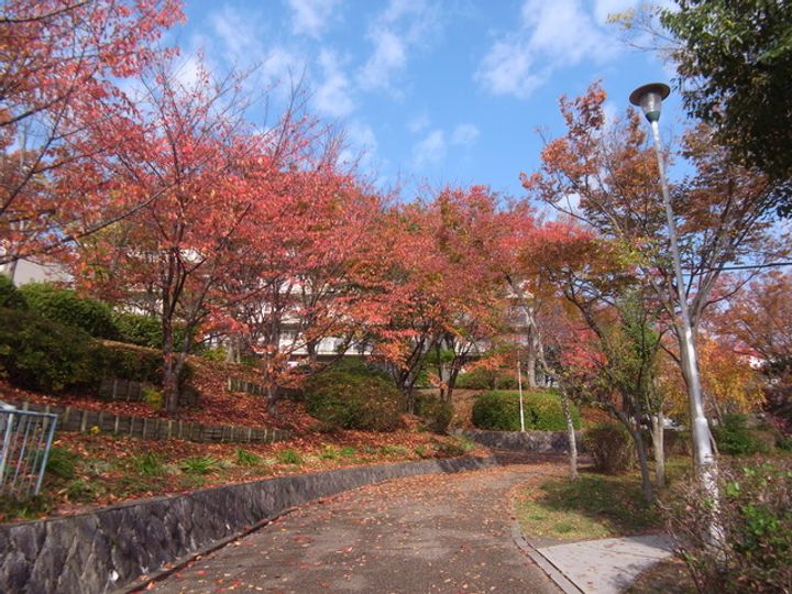 UR男山の地図
