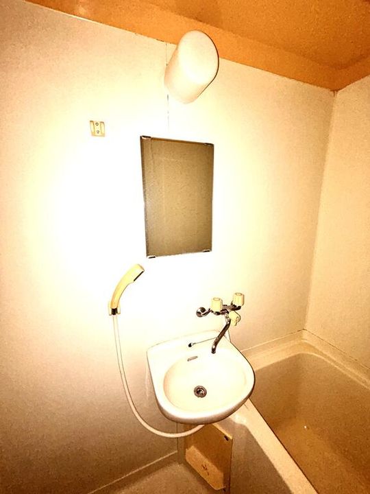 広島県東広島市八本松町原(アパート)の賃貸物件の内装