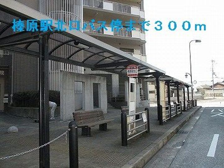 アザレアガーデンの周辺