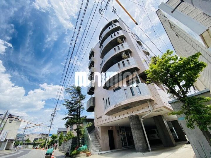 NPハイツの外観