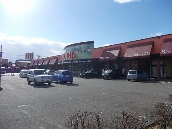 新潟県五泉市泉町1(アパート)の賃貸物件の周辺