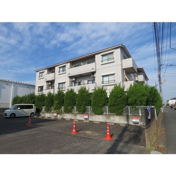 ダンデライオンの外観