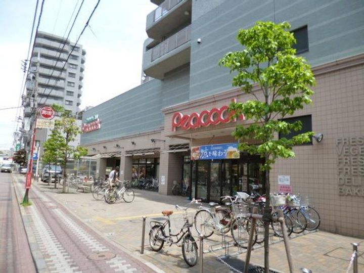レインボー石川台の周辺