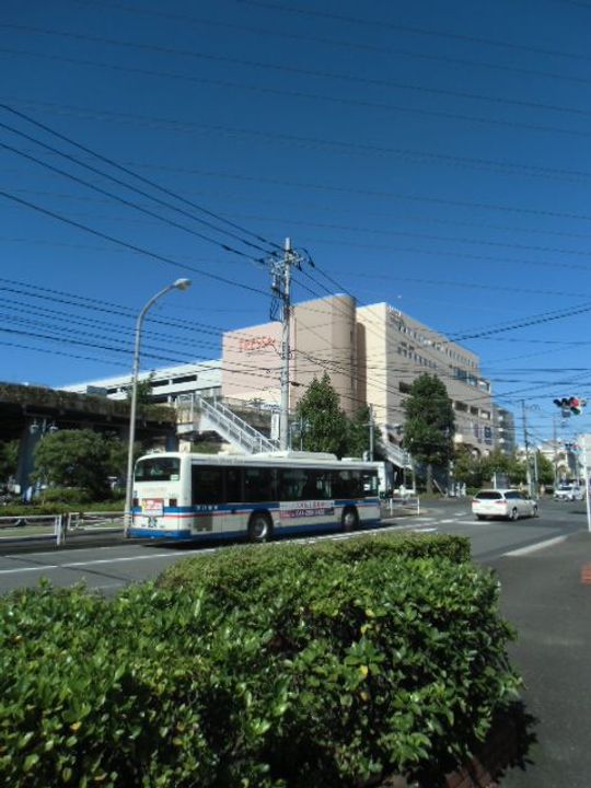 グリフォーネ横浜・妙蓮寺の周辺