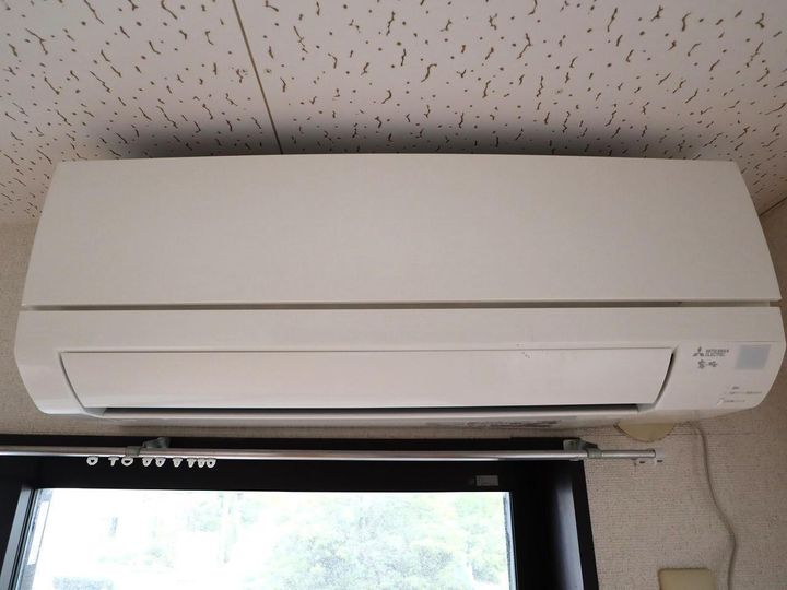 向日葵のその他画像