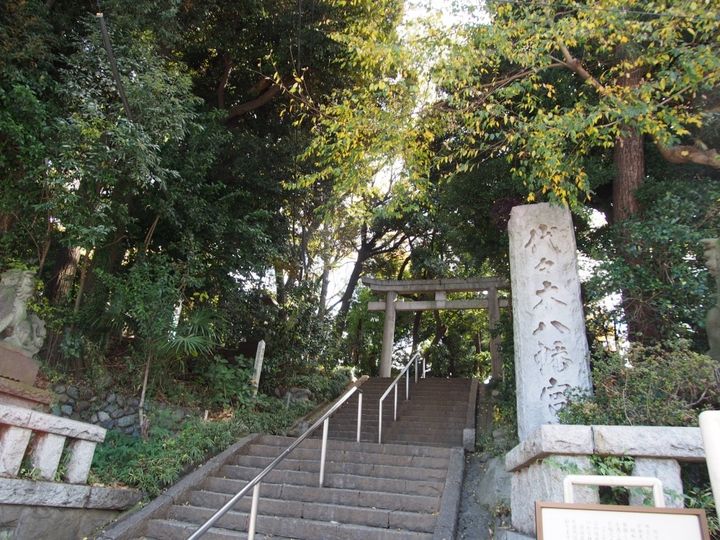 パークハウス代々木公園ラフィナートの周辺