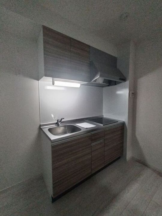 大阪府東大阪市新池島町1(アパート)の賃貸物件のキッチン