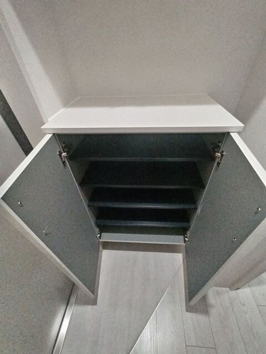 大阪府東大阪市新池島町1(アパート)の賃貸物件の内装