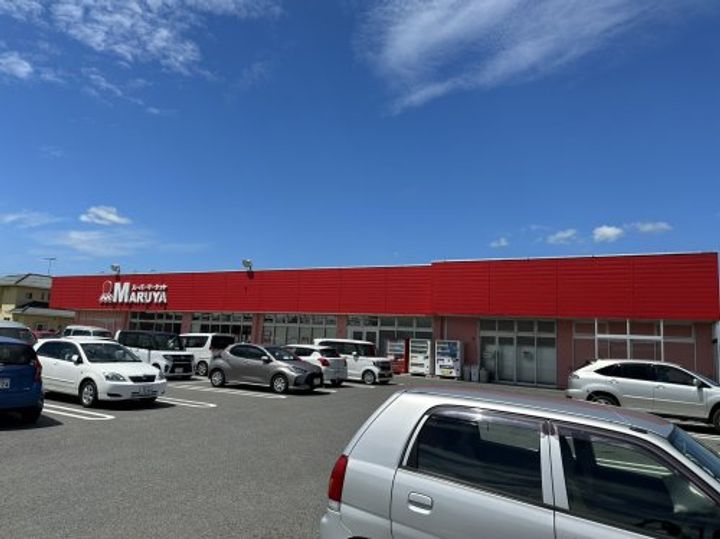 埼玉県加須市大越(一戸建)の賃貸物件の周辺