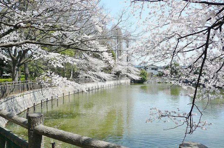 パークサイドりゅうの周辺