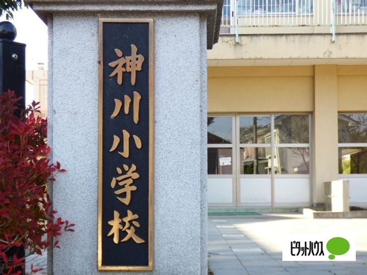 カーザわかばの周辺