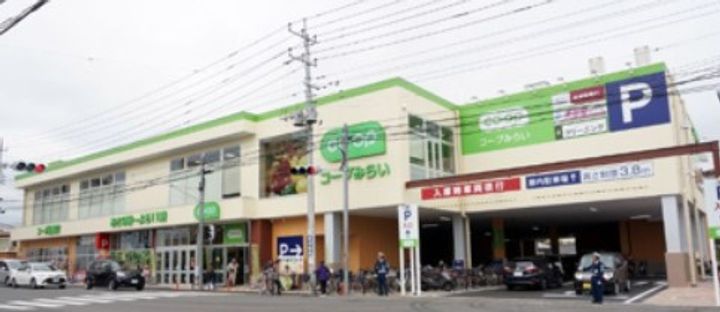 エステイトB西大宮の周辺