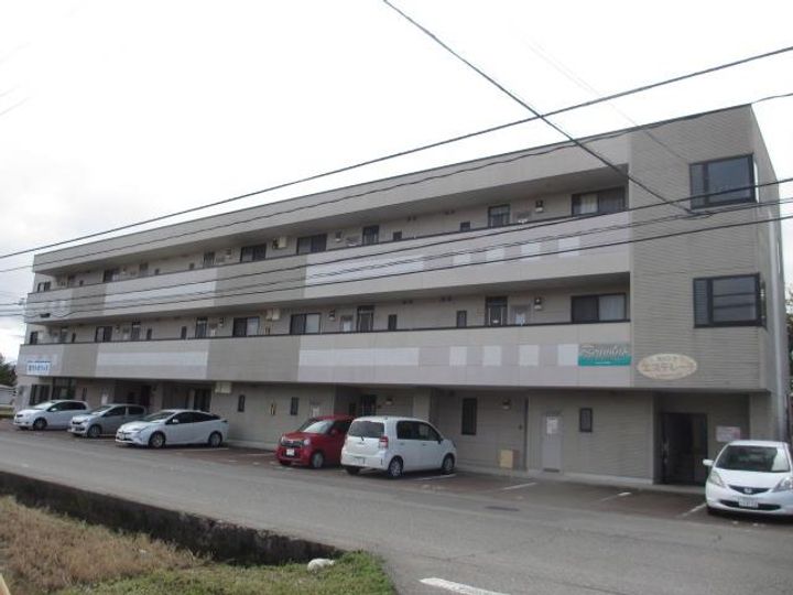 ロムルス平面の外観