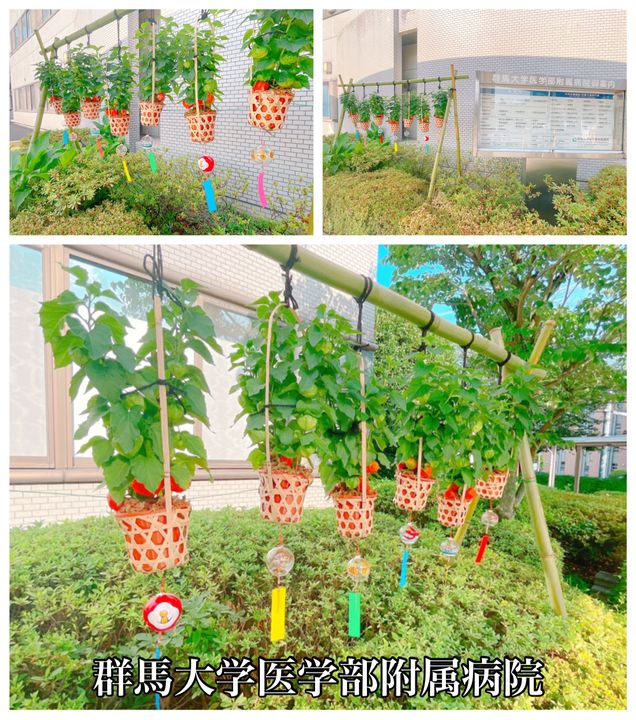 リヴィエールアンシュの周辺