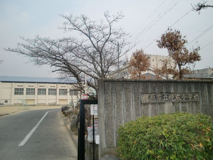 コンフォートメゾン八木の周辺
