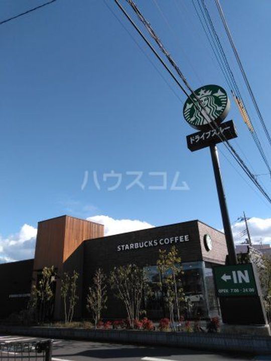 Camphorの周辺