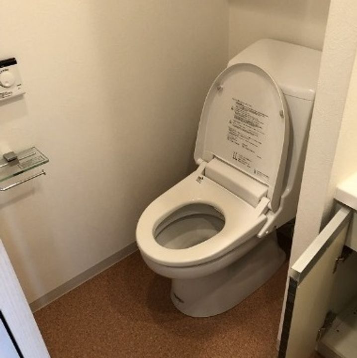 東京都大田区千鳥2(マンション)の賃貸物件の内装