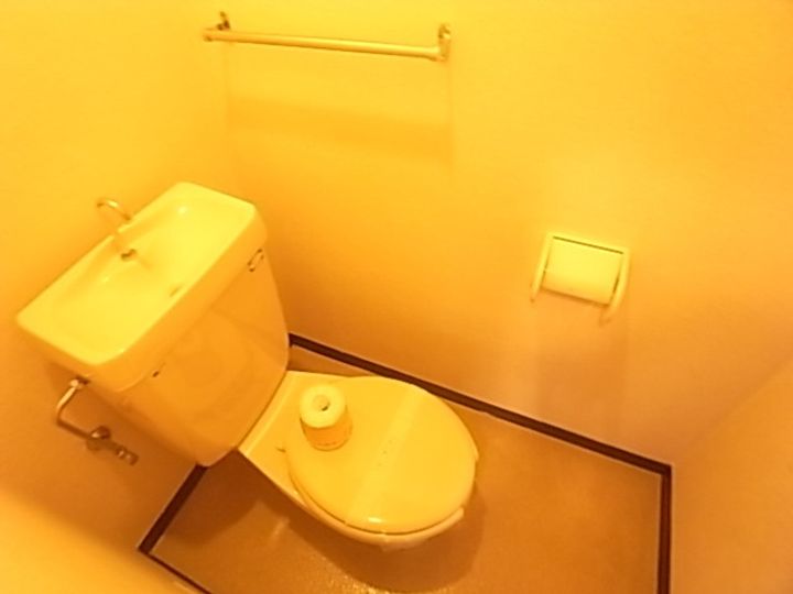 岡山県倉敷市中庄(マンション)の賃貸物件の内装