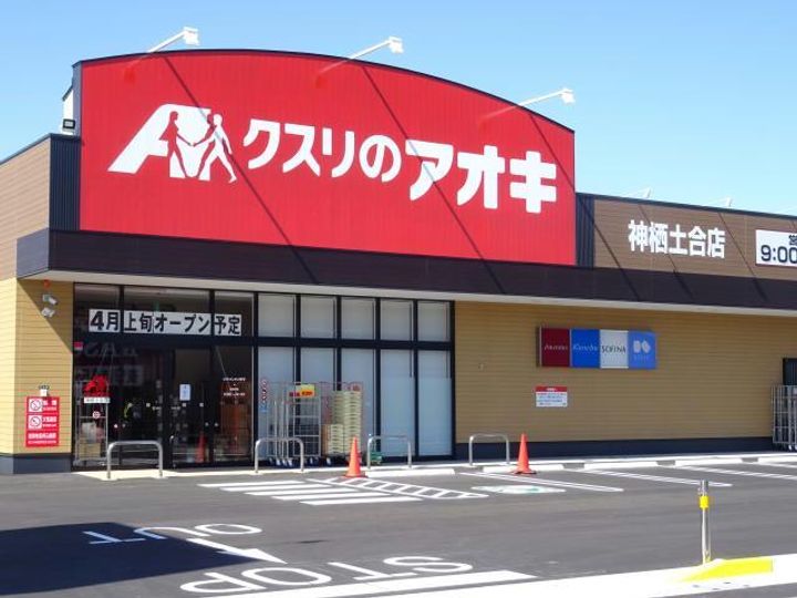 シェーンハイムAの周辺
