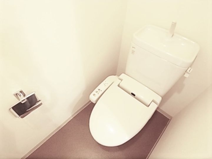 東京都大田区北嶺町(マンション)の賃貸物件の内装