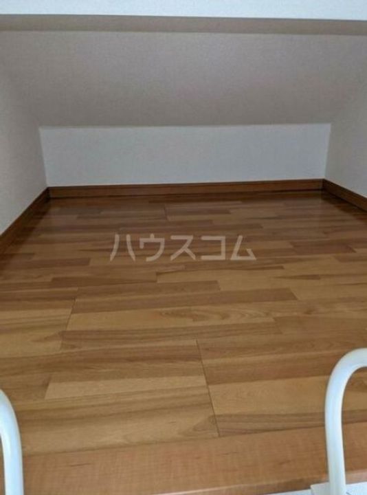 フェリスソニアのその他画像