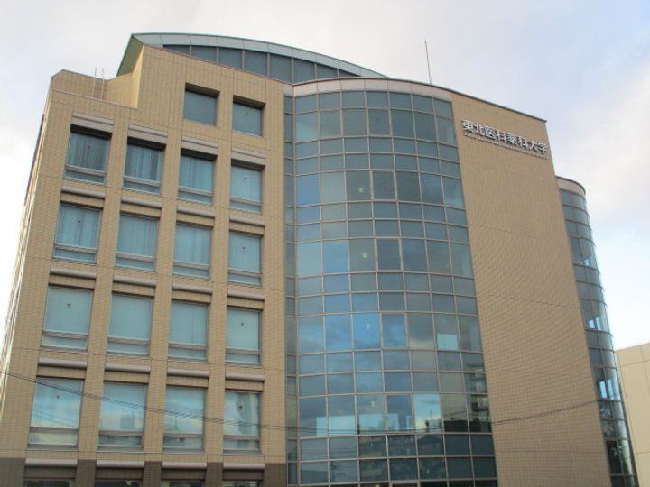 フォレストハイツの周辺