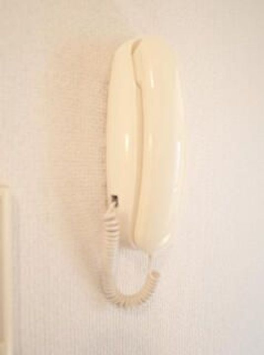 千葉県習志野市袖ケ浦1(アパート)の賃貸物件の内装