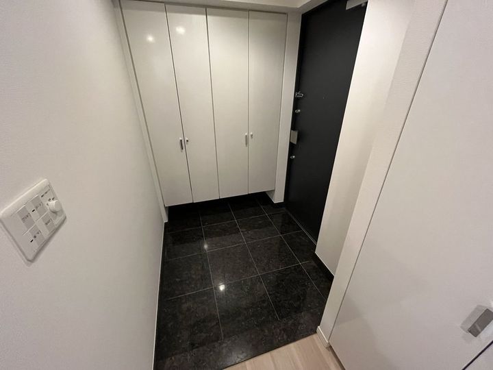 東京都中央区湊3(マンション)の賃貸物件の玄関