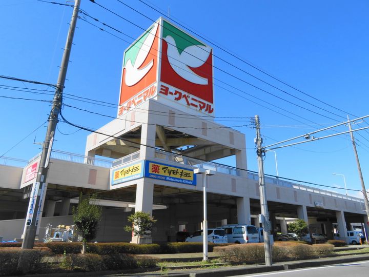 栃木県宇都宮市御幸ケ原町(一戸建)の賃貸物件の周辺