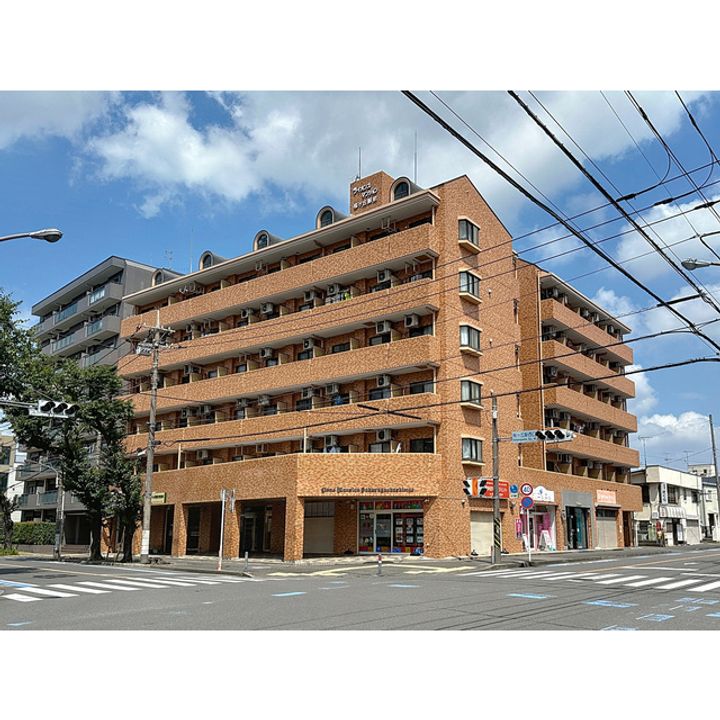 ライオンズマンション桜ヶ丘駅前の外観