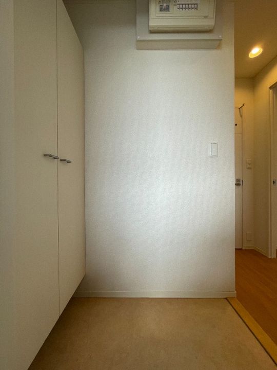 岡山県総社市中央6(アパート)の賃貸物件の玄関