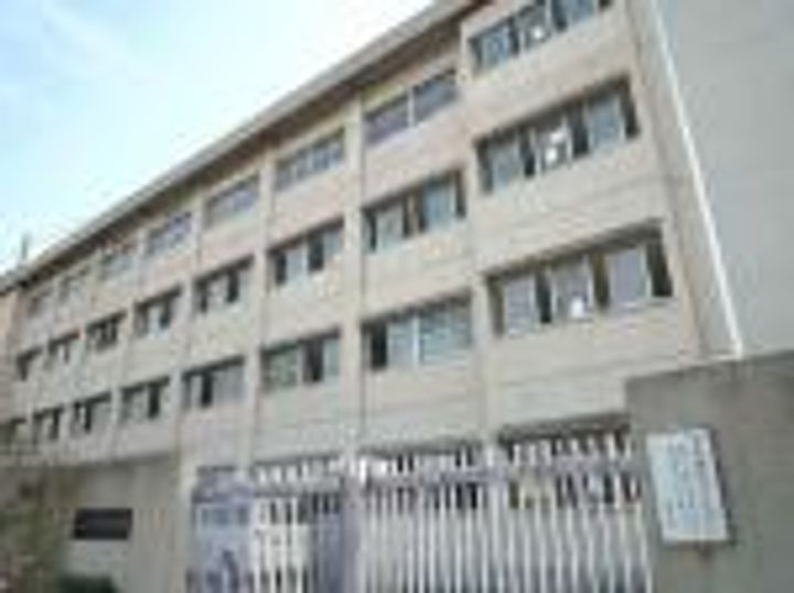 レオーネマンションの周辺