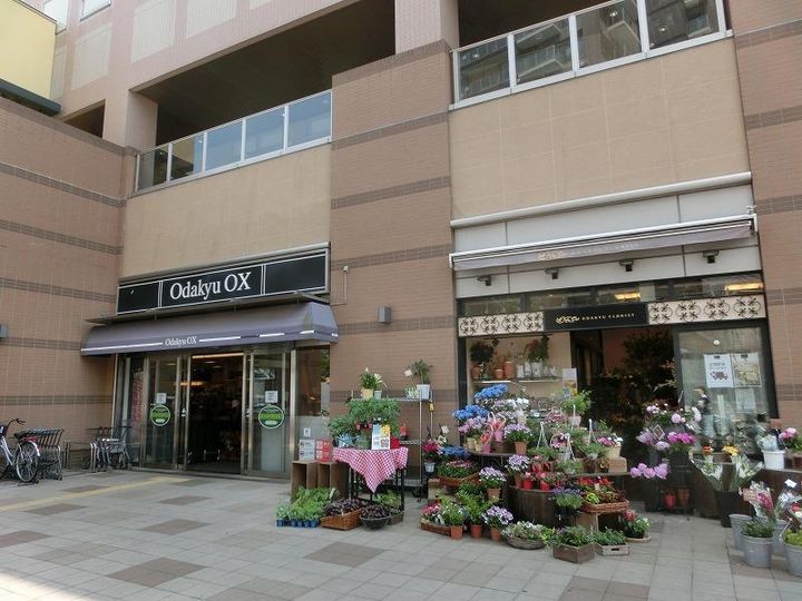 ピンウィール南台の周辺