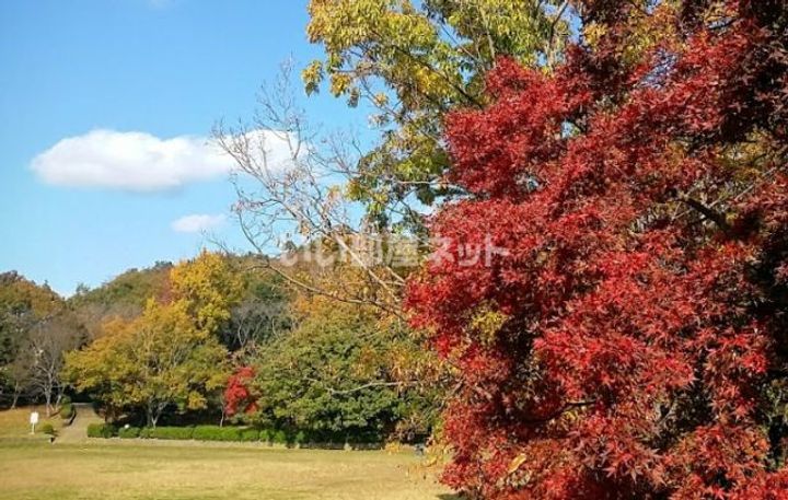 千葉県佐倉市西志津8(一戸建)の賃貸物件の周辺