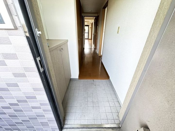 高知県高知市大原町(マンション)の賃貸物件の玄関