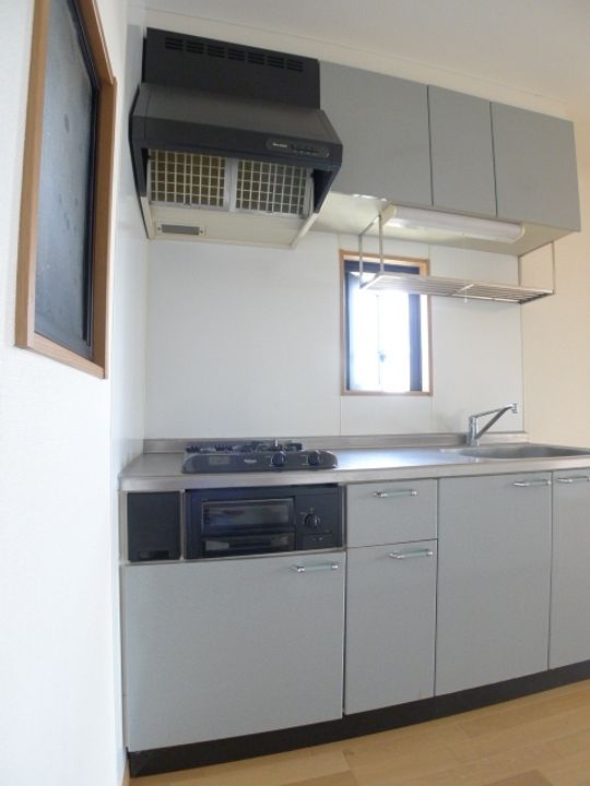 デイアーナMのキッチン