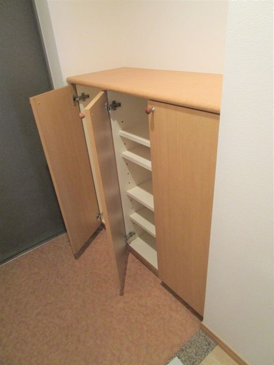 ラピス南町田の玄関