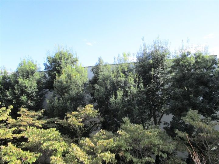 ラピス南町田のその他画像