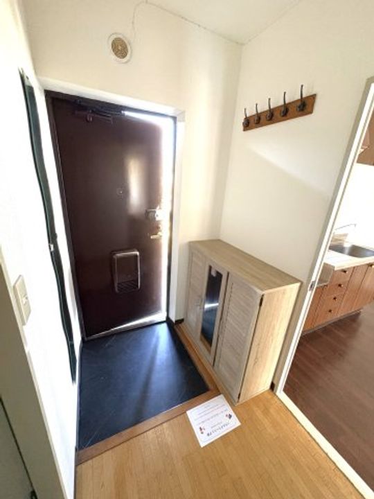 千葉県茂原市早野(マンション)の賃貸物件の玄関