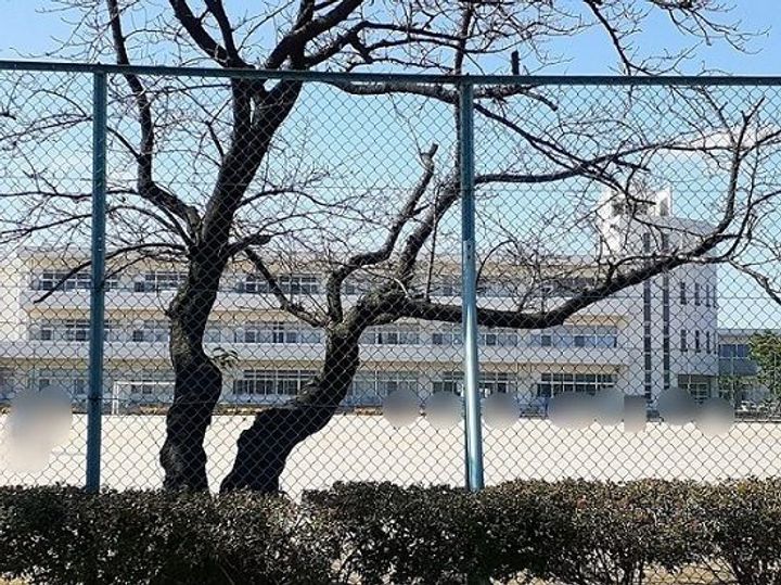 新潟県新発田市大栄町3(アパート)の賃貸物件の周辺