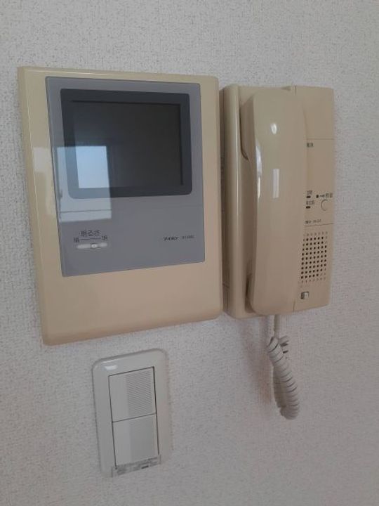 奈良県天理市田井庄町(マンション)の賃貸物件の内装