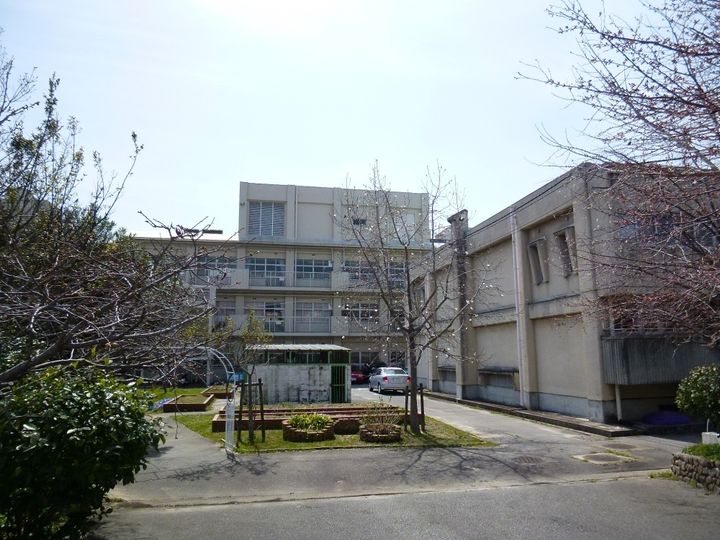 パラシオ宝塚の周辺
