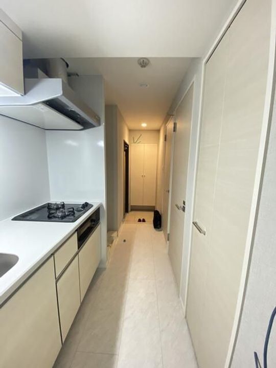 東京都墨田区緑1(マンション)の賃貸物件の居間