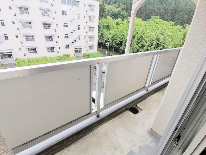 岩手県一関市藤沢町藤沢字仁郷(マンション)の賃貸物件の内装