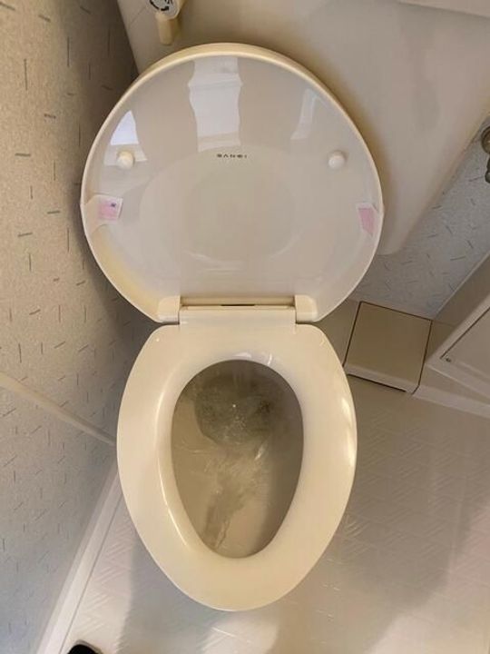 ダイアパレスステーションプラザお花茶屋の内装