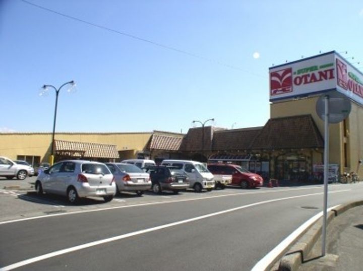 栃木県宇都宮市宝木本町(一戸建)の賃貸物件の周辺